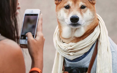 5 ragioni per scegliere l’influencer marketing