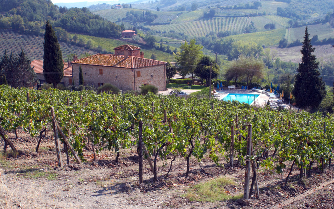 Il vino come ambasciatore del made in Italy