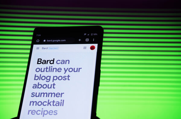 Google Bard screenshot